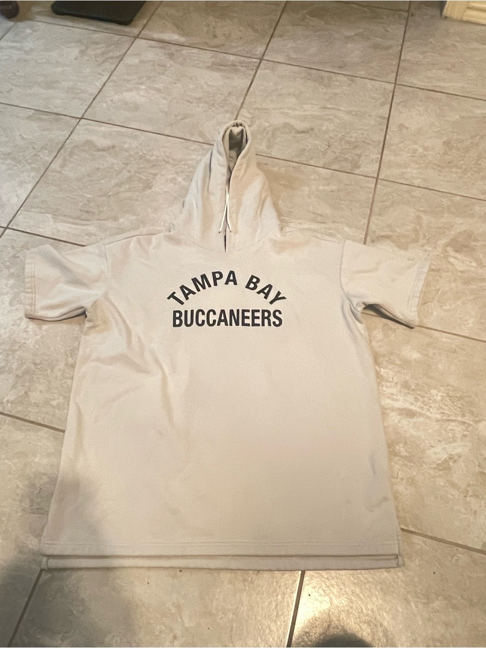 Signature Plush-Lined Hooded Sweatshirt - Light Gray